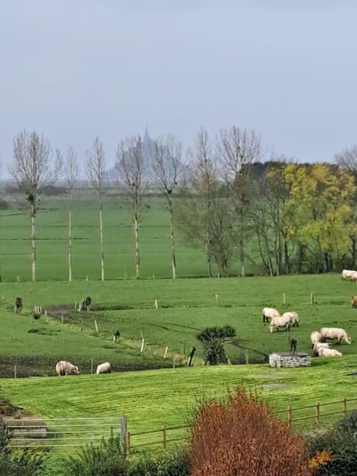 Le Nature Huisnes-sur-Mer Bagian luar foto